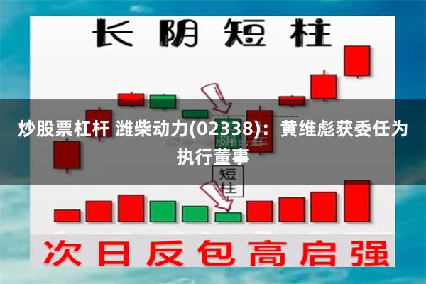 炒股票杠杆 潍柴动力(02338)：黄维彪获委任为执行董事