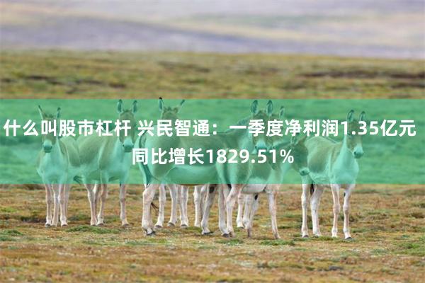 什么叫股市杠杆 兴民智通：一季度净利润1.35亿元 同比增长1829.51%