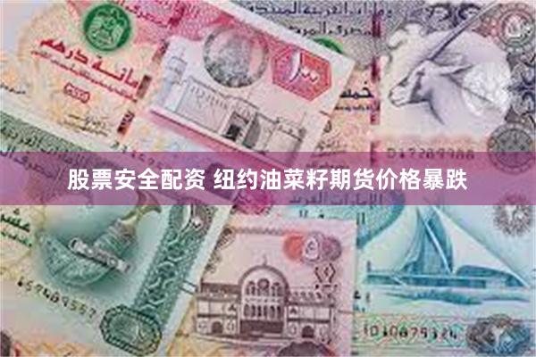 股票安全配资 纽约油菜籽期货价格暴跌