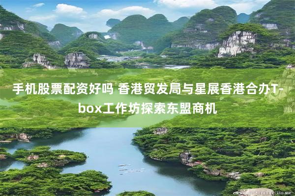 手机股票配资好吗 香港贸发局与星展香港合办T-box工作坊探索东盟商机