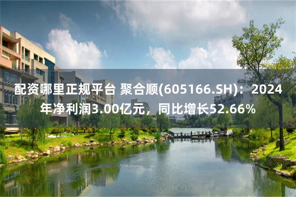 配资哪里正规平台 聚合顺(605166.SH)：2024年净利润3.00亿元，同比增长52.66%