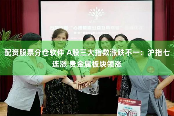 配资股票分仓软件 A股三大指数涨跌不一：沪指七连涨 贵金属板块领涨