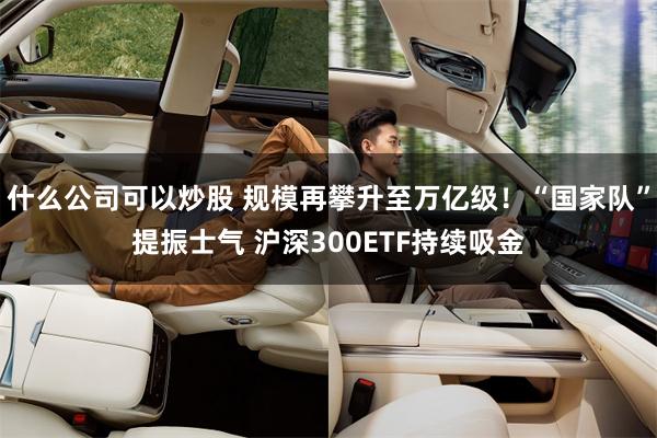 什么公司可以炒股 规模再攀升至万亿级！“国家队”提振士气 沪深300ETF持续吸金
