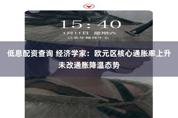 低息配资查询 经济学家：欧元区核心通胀率上升未改通胀降温态势