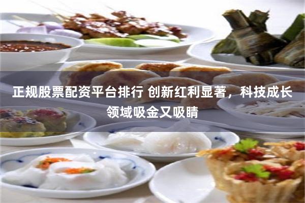 正规股票配资平台排行 创新红利显著，科技成长领域吸金又吸睛