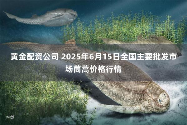 黄金配资公司 2025年6月15日全国主要批发市场茼蒿价格行情