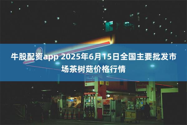 牛股配资app 2025年6月15日全国主要批发市场茶树菇价格行情