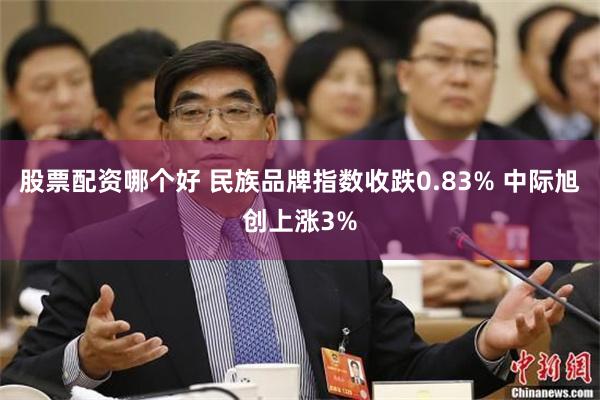 股票配资哪个好 民族品牌指数收跌0.83% 中际旭创上涨3%