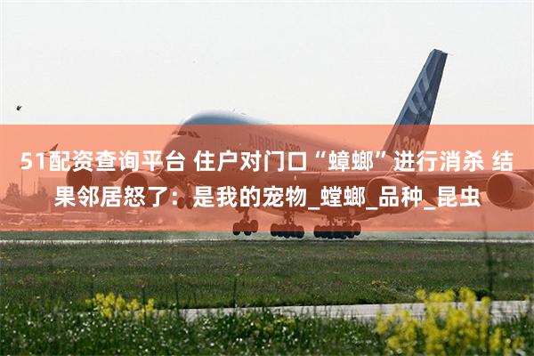 51配资查询平台 住户对门口“蟑螂”进行消杀 结果邻居怒了：是我的宠物_螳螂_品种_昆虫