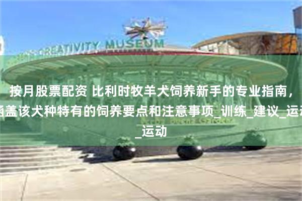 按月股票配资 比利时牧羊犬饲养新手的专业指南，涵盖该犬种特有的饲养要点和注意事项_训练_建议_运动